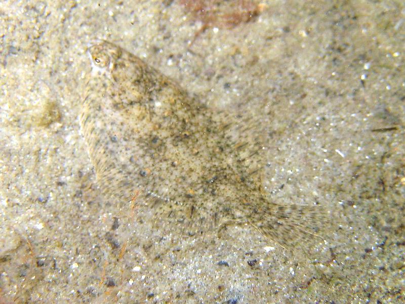2009-05-30 18-34-11S.JPG